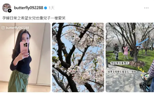 ▲愷樂在Threads透露懷女兒，但是否是龍鳳胎則不得而知。（圖／翻攝自愷樂Threads@butterfly092288）