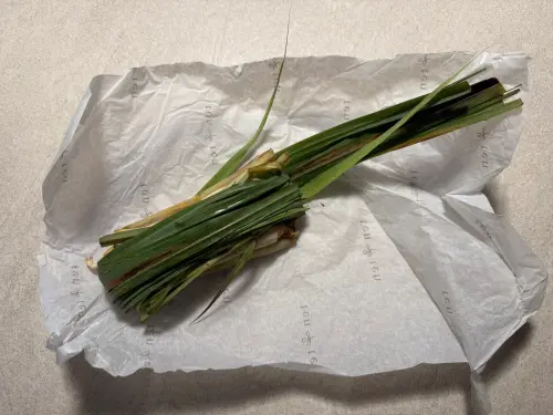 ▲可用艾草等綠色葉子，沾午時水淨化家裡。圖為菖蒲。（圖／記者張家瑋攝）