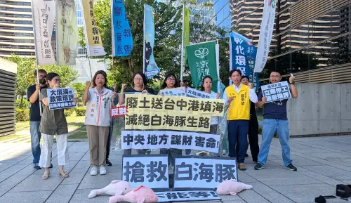 白海豚剩不到50隻！廢土將填台中港區　環團轟中市府爽拿遮羞費
