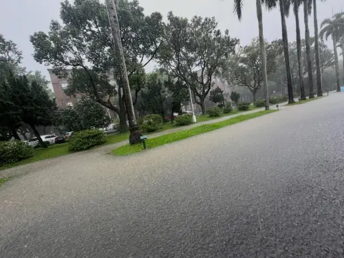 暴雨轟雙北！台大椰林大道慘變「椰林河」　學生苦笑：免費水樂園

