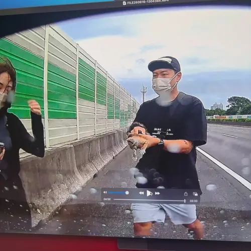 ▲洋蔥透露日前在國道一號看到一隻小貓，馬上繞路後下車拯救。（圖／翻攝自洋蔥IG@911_onion）