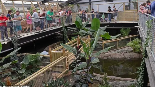英國動物園驚魂！3歲男童遭推入鱷魚池　30歲男子涉謀殺未遂被捕
