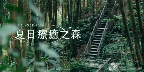▲薰衣草森林推「夏日療癒之森」，7月開始每個週末都有活動，還包含能聽樹幹中水流動的聲音，相當療癒。（圖／薰衣草森林官網）
