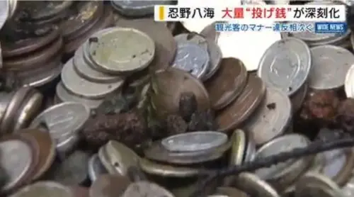 ▲26公斤硬幣撈不完！忍野八海許願池亂象曝光（圖／截自日本YBS NEWS）