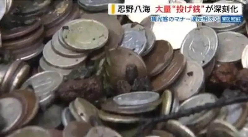 ▲26公斤硬幣撈不完!忍野八海許願池亂象曝光(圖/截自日本YBS NEWS)
