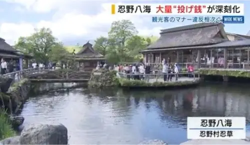 ▲忍野八海變許願池！（圖／截自YBS NEWS）