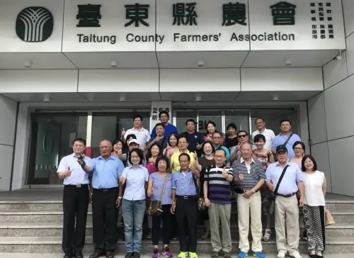 稱鳳梨釋迦「超過20年警世寓言」　吳音寧：台東農民應該早看清