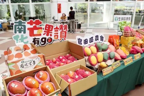 ▲6/27、28兩天台南市舉辦台南芒果節活動，將展示各種不同風味的芒果，也邀請各國買家來訪，希望讓更多人了解台南芒果的美味。（圖／南市府提供）
