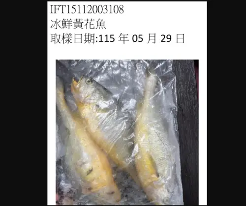 中國進口「冰鮮黃花魚」檢出禁藥！食藥署邊境攔截逾6千公斤