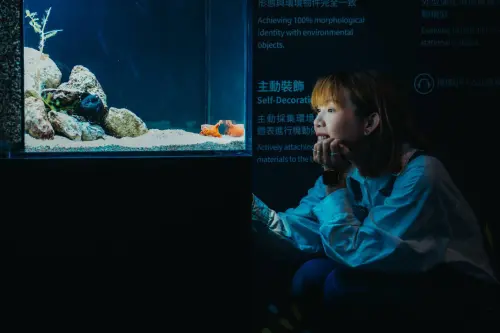 ▲近距離觀察每種生物的特殊習性(圖／觀旅局提供2026.6.23)