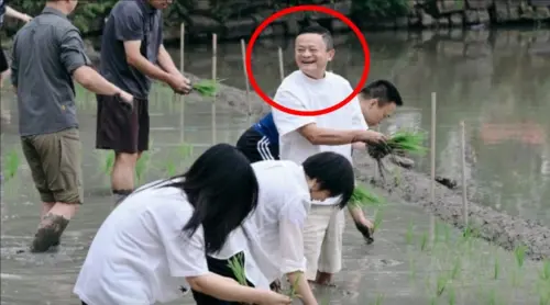 億萬富翁馬雲腳踩爛泥插秧！重返公眾視野網友酸：AI讓人閒到蛋疼
