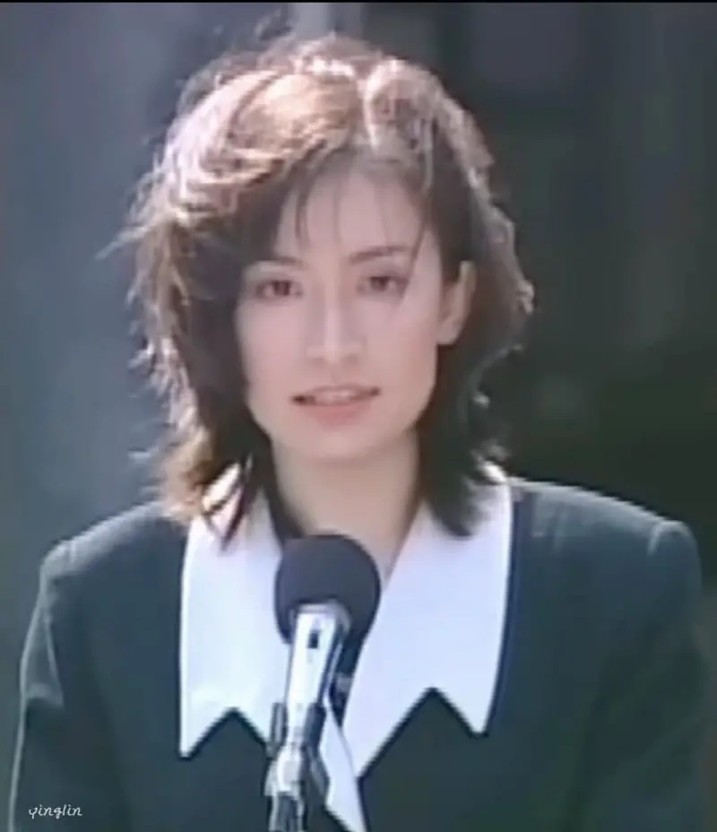    ▲副總統蕭美琴混血顏值超高，撞臉多位日本女星。（圖／翻攝自賴坤成臉書）  