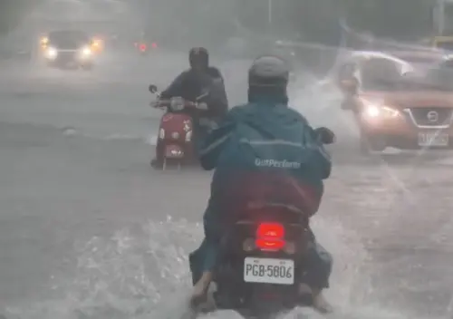 ▲屏東清晨強降致災性大豪雨，多處大馬路直接淹成一片汪洋。有網友在社群平台貼出第一手直擊照，大批通勤機車族被困在滾滾黃水中，只能無奈下車牽著機車涉水前行。（圖／翻攝自Threads）