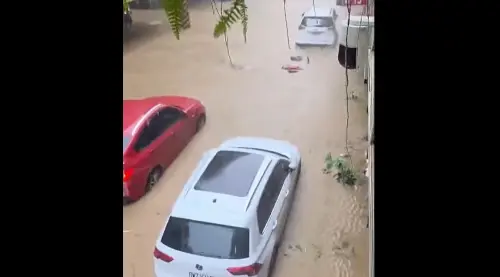 台北淹水泡車畫面曝光！高嘉瑜揭內湖南港淹水災情區