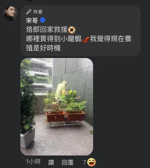 ▲宋哥在大雨中自嘲，想要在自家露台養小龍蝦。（圖／翻攝自宋哥臉書）