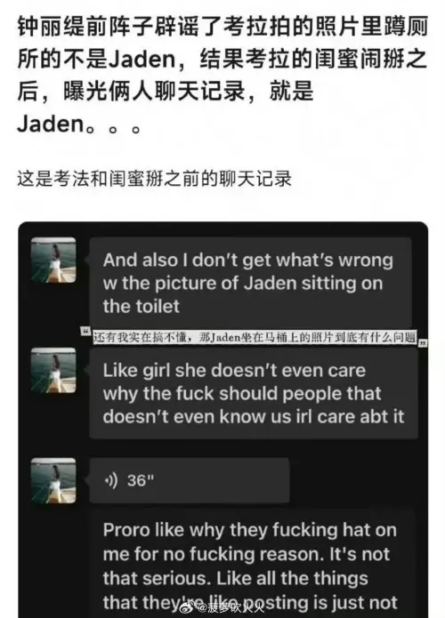 ▲鍾麗緹小女兒與友人聊天紀錄疑曝光，提到坐馬桶上的女性就是姊姊。（圖／翻攝自微博）