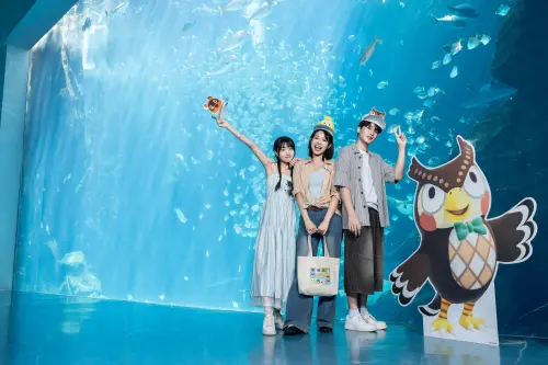 ▲Xpark 水族館現正推出《集合啦！動物森友會》海洋生物互動體驗展。（圖／Xpark 水族館提供）