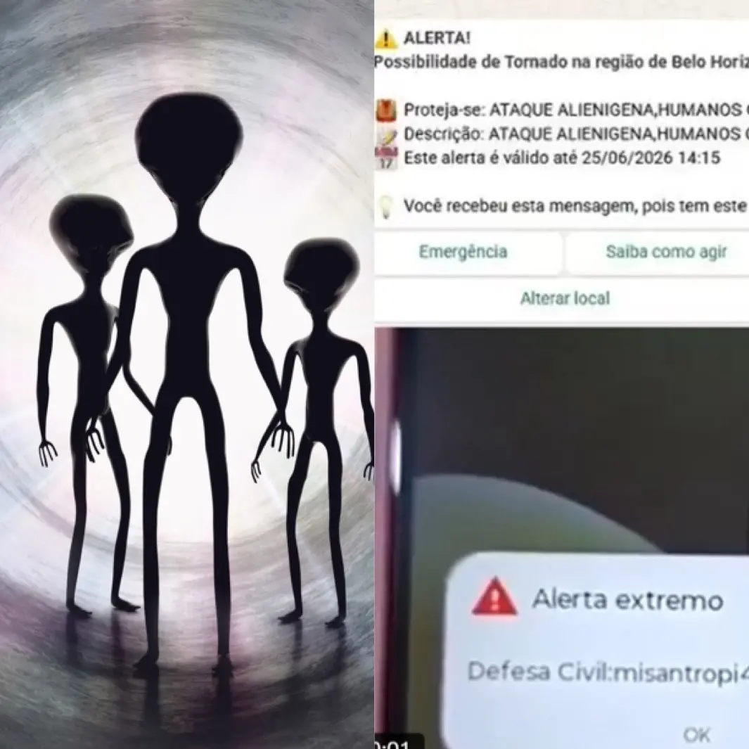 ▲巴西百萬人手機突然收到外星人攻擊警報（圖／截自Ｘ）