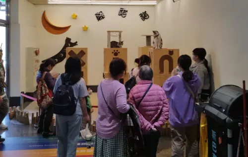 新左營貓站長樂園大逆轉不關了！台鐵澄清：全面升級、更安全舒適