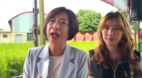 公投變選戰武器？何欣純批國民黨打民粹牌：民意終將做出判斷