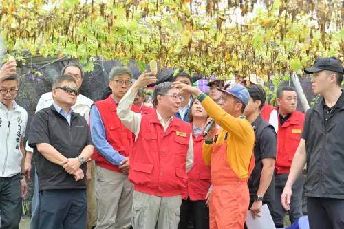 豪雨導致農業損害　卓揆赴高屏視察、指示儘速協助農民復耕復建