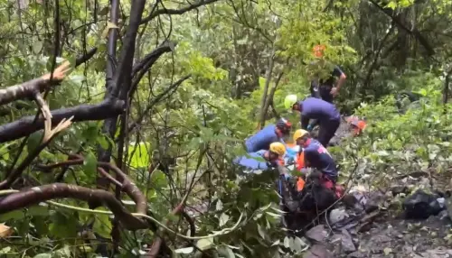 蝴蝶谷步道坍方奪命！落石擊中15人登山團　傳前交通部長在裡面