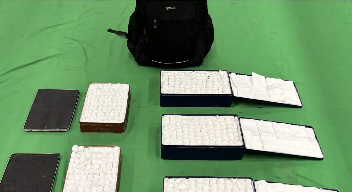 ▲行李藏金屬盒開箱驚見777顆鸚鵡蛋（圖／截自香港海關）
