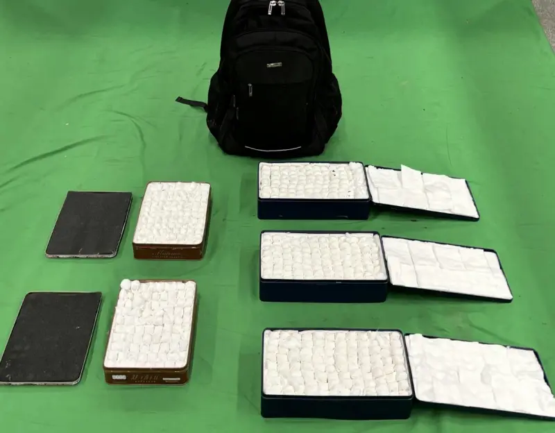    ▲行李藏金屬盒開箱驚見777顆鸚鵡蛋（圖／截自香港海關）  