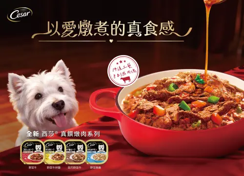 特企／盛夏濕糧新選擇！西莎®全新「真饌燉肉系列」上市