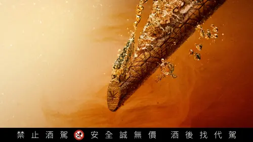 ▲「粱芯金門高粱酒」瓶中真實可見的百年橡木芯條，猶如瓶中的風味魔杖，在瓶內施展著天然原木香與特調金門高粱酒液的完美交融魔法。（圖／黑松提供）