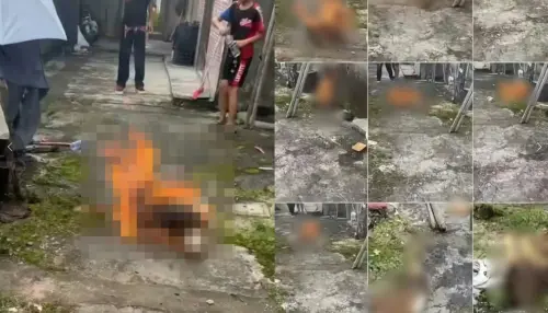 廣東4男童虐殺犬隻片瘋傳！棍打幼犬、汽油燒死母狗引爆全網怒火
