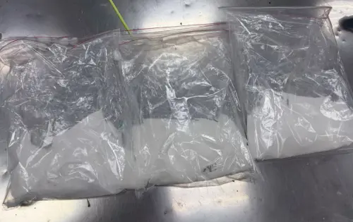 阻止毒品流入市面！保三總隊二大隊查獲失聯移工利用嬰兒車運毒