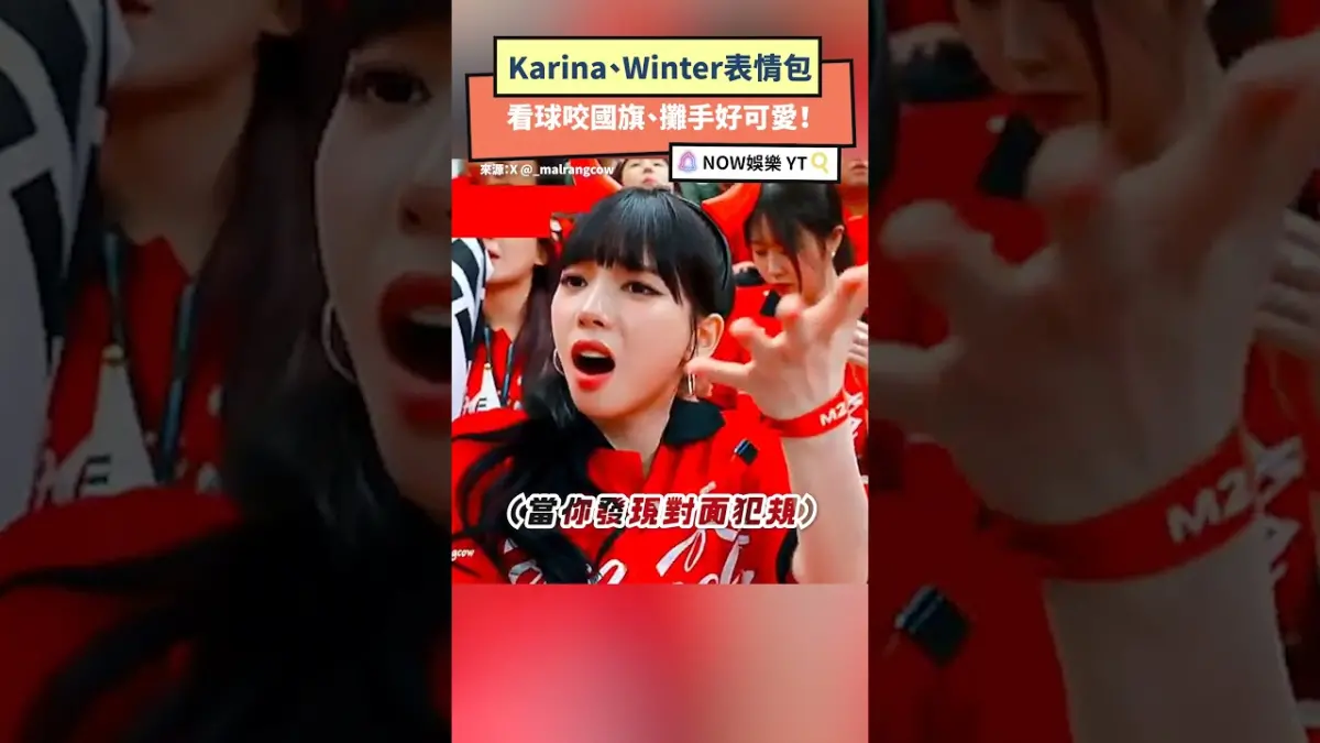 Karina、Winter表情包 看球咬國旗、攤手好可愛！