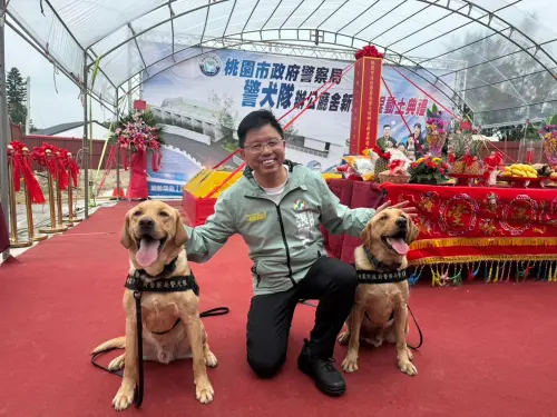 綠花蓮縣長傾向不提名！桃園議員張肇良涉貪被停權　改派他參選
