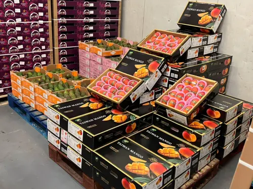 Taiwan's mangoes make luxury push into France and Britain