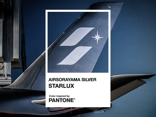 ▲Pantone為星宇航空與日本殿堂級藝術家空山基合作的 STARLUX AIRSORAYAMA計畫制定專屬色，此為PANTONE_AIRSORAYAMA Silver。（圖／星宇航空提供）