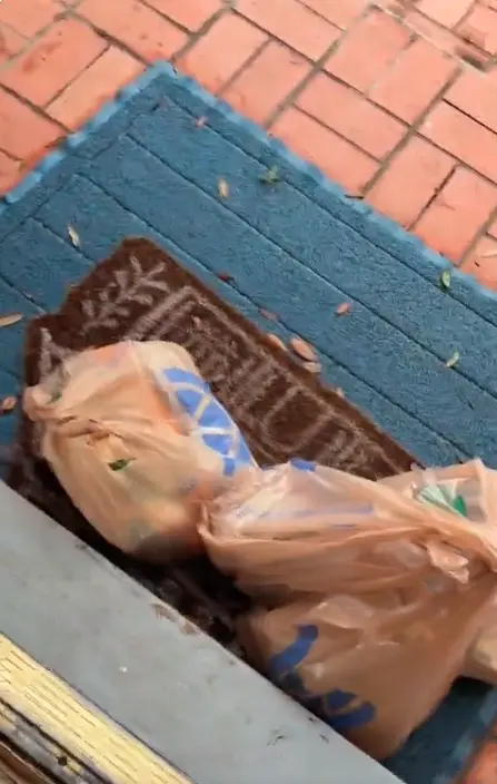 ▲飼主鼓起勇氣打開門後，眼前景象卻讓所有人笑翻，原來竟是外送到了。（圖／翻攝自TikTok@flambothedog）