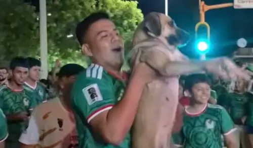愛犬失蹤1個月！主人看世界盃轉播「主角是牠」超傻眼：全場焦點