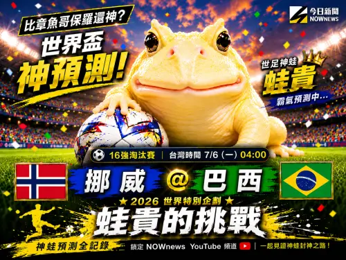 世界盃蛙貴的挑戰》巴西戰挪威！神蛙答案超意外　挑戰冷門高賠率