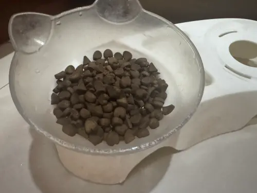 貓咪吃飼料都會剩一堆！專家找出挑食原因　「1招」讓食量大提升