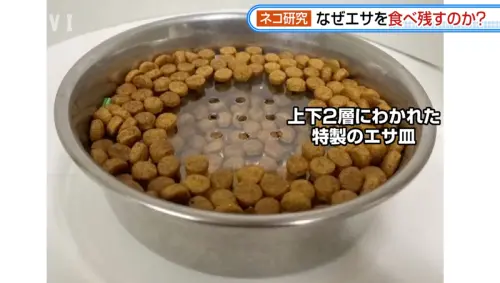 ▲宮崎教授研發出一款「雙層飼料碗」，上方放置跟原本一樣的舊款飼料，下方則放置其他不同品牌的飼料，只有氣味會向上飄散，並且進行實驗。（圖／翻攝畫面）