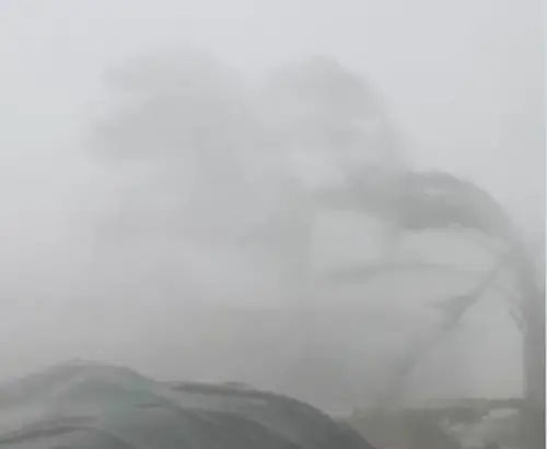 巴威颱風有多猛？眼牆直襲羅塔島　狂風畫面超震撼