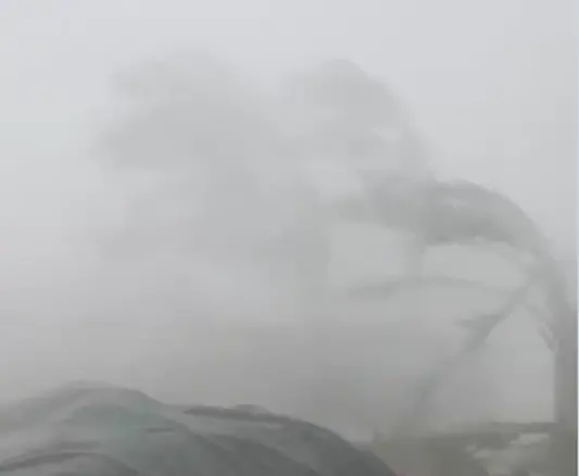▲巴威颱風眼牆襲擊羅塔島，狂風暴雨畫面震撼。（圖／Masum Dhali＠FB）