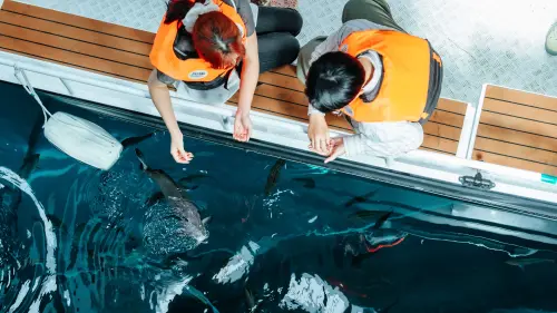 ▲「零距離海上漫遊」讓民眾首度在博物館裡搭乘小船，緩緩航行在海底隧道正上方。（圖／屏東海生館提供）