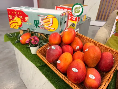▲ 農業局也說，今年愛文芒果買氣超乎預期，產銷基本上已過關。（圖／南市府提供）