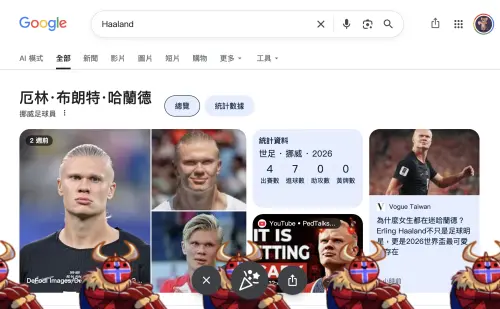 ▲Google搜尋「Haaland」出現維京戰士划船彩蛋。（圖／翻攝自Google）