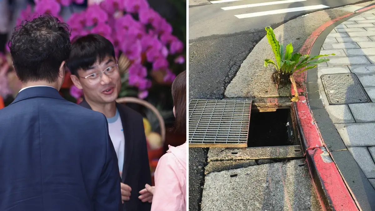 ▲北市研考會主委殷瑋引述植物專家稱，山蘇可能是從上游沖下來，遭市議員何孟樺酸「走路草嗎？」，北市府怒回嗆是台大專家的專業分析。（圖／記者朱永強攝、何孟樺提供）
