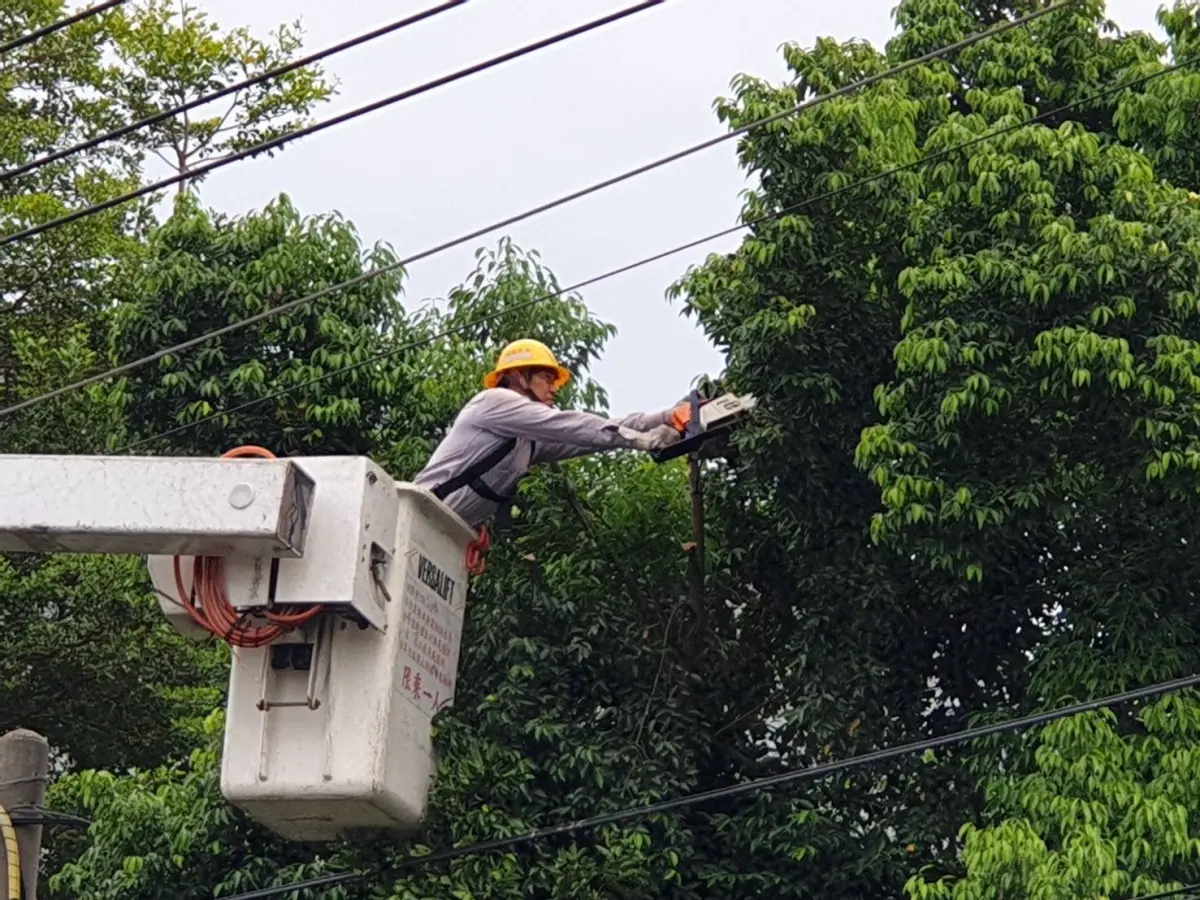 ▲因應強颱巴威來襲，台電屏東區處全面啟動防颱整備，包含預防性樹修。（圖／台電屏東區處提供）