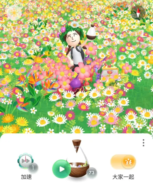 ▲「大家一起」開啟後，不會增加種花速度或花朵數量，主要用途是讓附近玩家彼此看見，一起在地圖上散步、種花。（圖／翻攝自《Pikmin Bloom》）