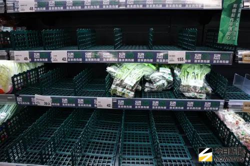 ▲防颱搶購潮持續延燒，全聯生鮮區人氣最旺，其中高麗菜、青江菜、小白菜、空心菜等綠色葉菜類。（圖／記者朱永強攝）
